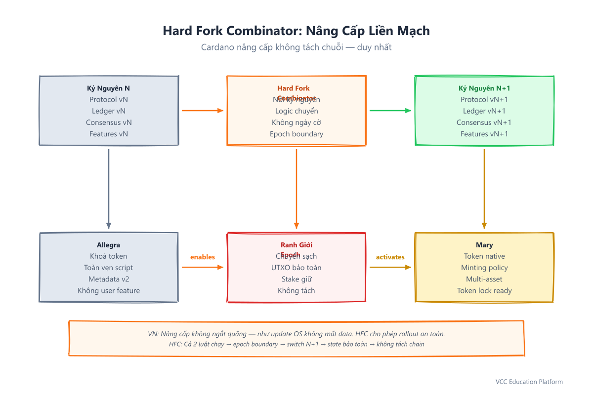 Hard Fork Combinator: cơ chế nâng cấp liền mạch — luật cũ và mới cùng chạy, chuyển đổi tại ranh giới epoch