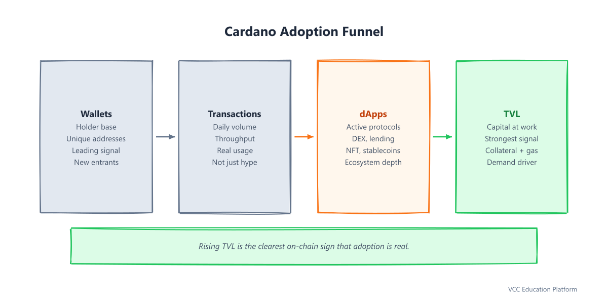 Funnel - Adoption metrics: Wallets → Transactions → dApps → TVL