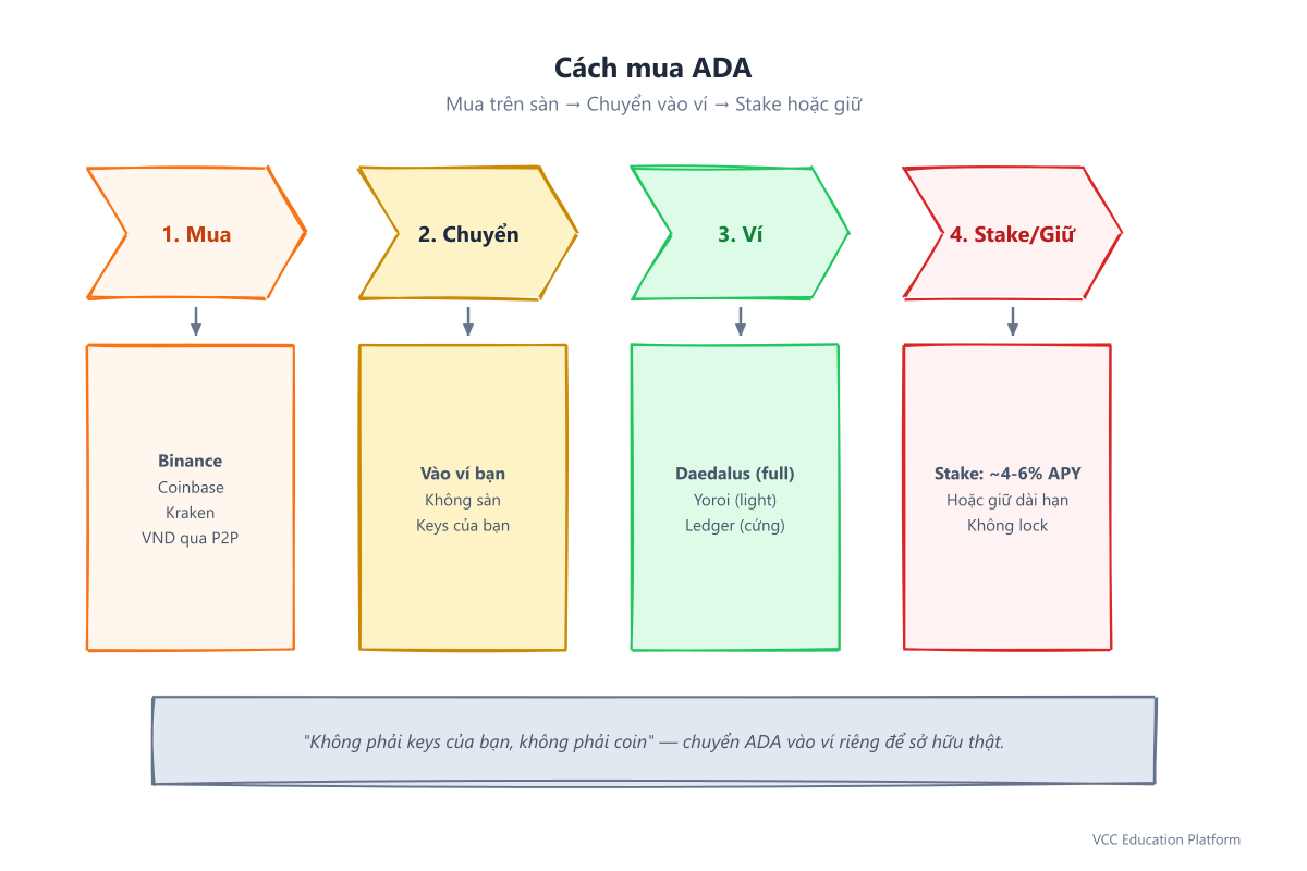 Cách mua ADA: mua sàn, chuyển ví, stake hoặc giữ