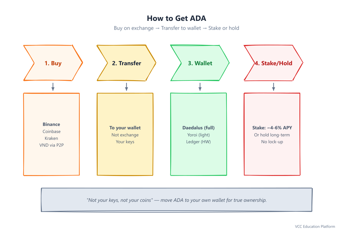 How to get ADA: buy on exchange, transfer to wallet, stake or hold