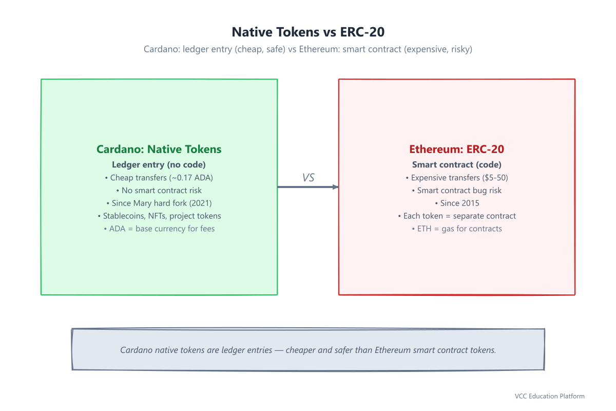 Native tokens (Cardano, ledger entry, cheap) vs ERC-20 (Ethereum, smart contract, expensive)