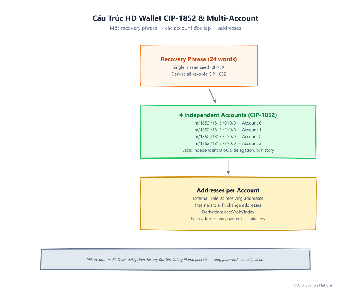 Diagram - HD wallet derivation / multiple accounts tree