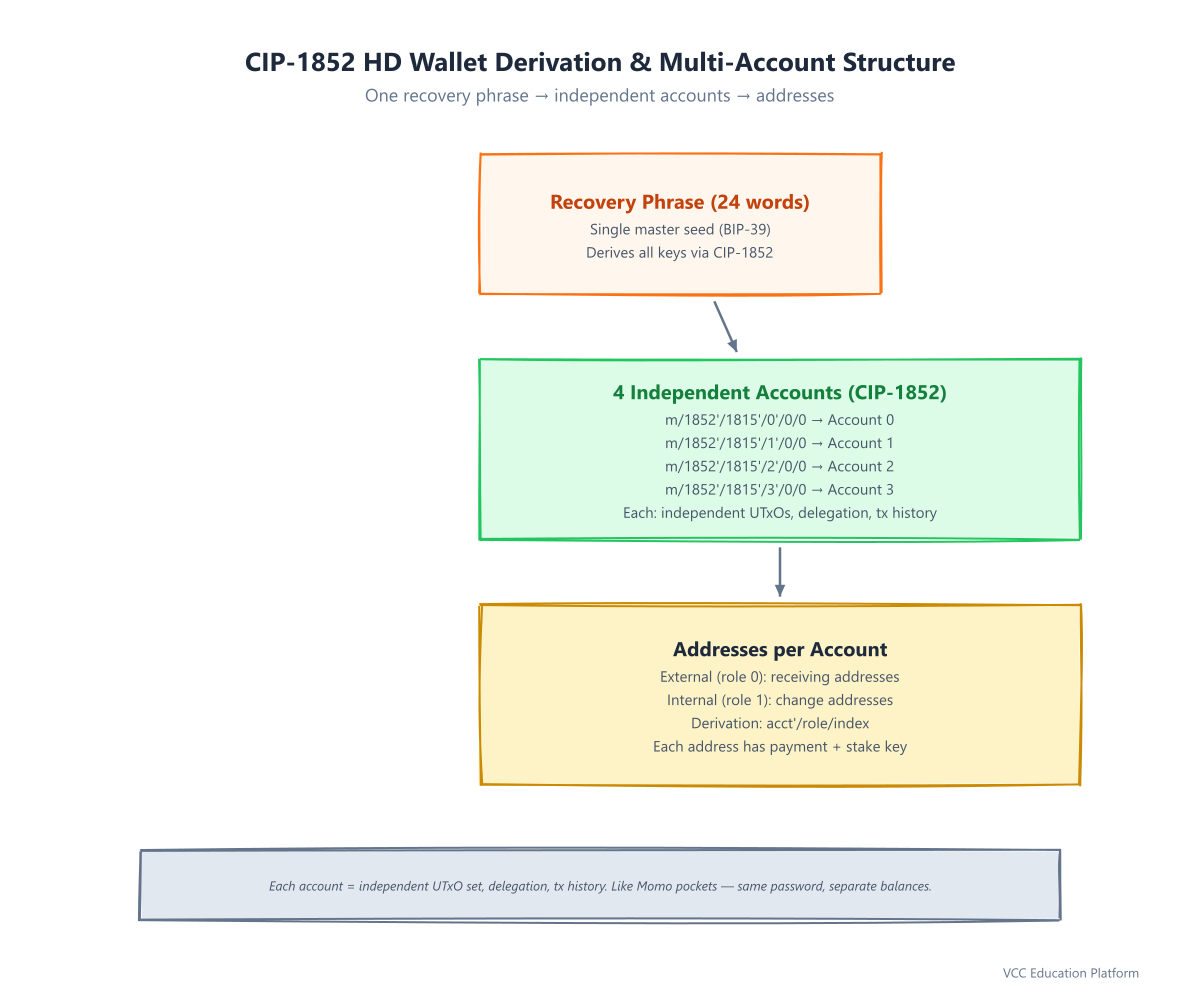 Diagram - HD wallet derivation / multiple accounts tree