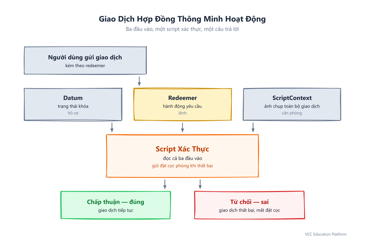 Luồng giao dịch hợp đồng thông minh trên Cardano: người dùng gửi giao dịch, script xác thực đọc datum, redeemer và ScriptContext, trả về đúng hoặc sai; tài sản thế chấp được giữ trong trường hợp script thất bại