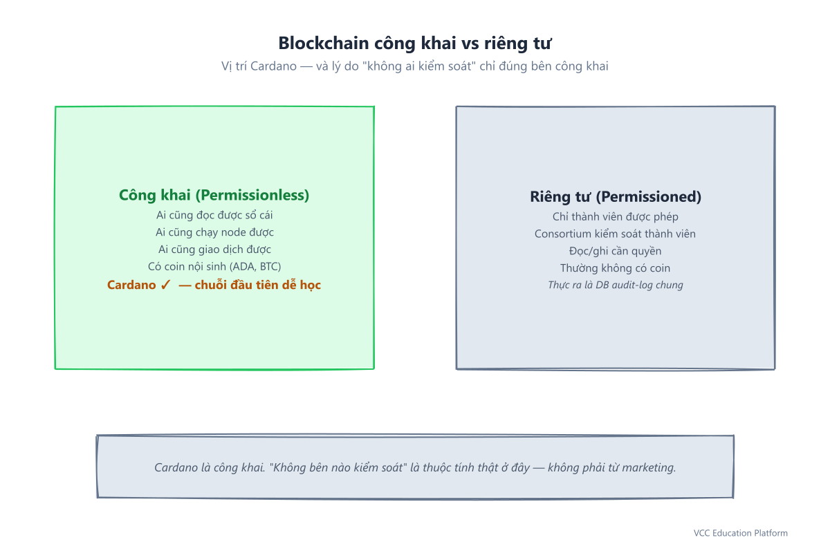 Blockchain công khai (ai cũng đọc/ghi/chạy node được, có coin nội sinh) vs riêng tư (thành viên hạn chế, thường không coin), Cardano ở bên công khai