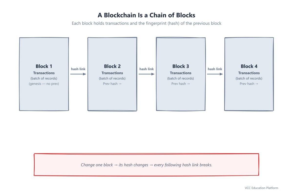 A chain of blocks linked by hashes, each block holding transactions and the previous block's hash