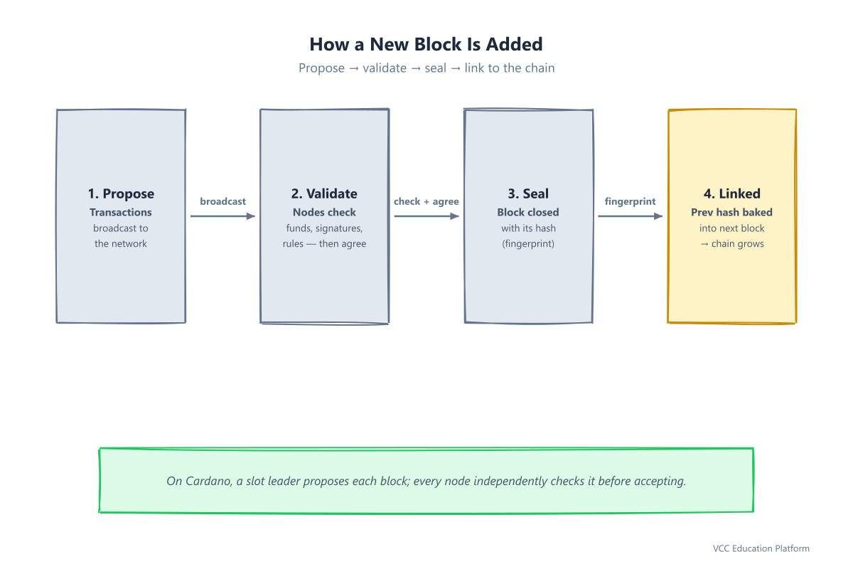 How a new block is added: propose transactions, nodes validate, block sealed, linked to chain by previous hash