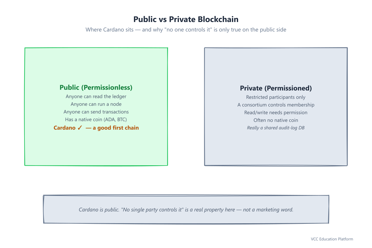 Public permissionless blockchain vs private permissioned blockchain, with Cardano marked on the public side