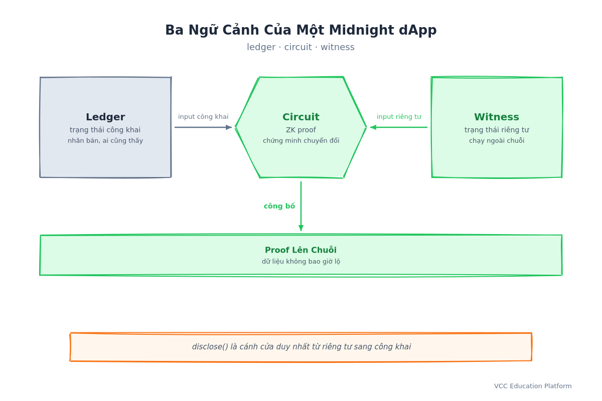 Ba ngữ cảnh của một Midnight dApp: ledger giữ trạng thái công khai nhân bản hiển thị cho tất cả, circuit tạo ra ZK proof chứng minh sự chuyển đổi, và witness giữ trạng thái riêng tư chạy ngoài chuỗi; input công khai đến từ ledger và input riêng tư đến từ witness, proof lên chuỗi còn dữ liệu thì không, và disclose() là cánh cửa duy nhất từ riêng tư sang công khai
