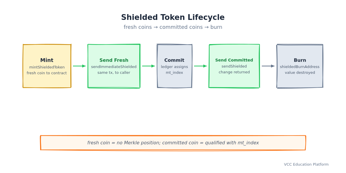 Shielded token lifecycle: mintShieldedToken creates a fresh coin owned by the contract, sendImmediateShielded spends a fresh coin in the same transaction to the caller, the ledger assigns a Merkle position to commit the coin, sendShielded spends a committed coin and returns change, and sending to shieldedBurnAddress destroys value; a fresh coin has no Merkle position while a committed coin is qualified with an mt_index