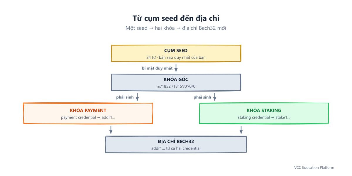 Quy trình phái sinh địa chỉ Cardano: một cụm từ khởi tạo tạo ra khóa gốc, tách thành khóa thanh toán và staking, rồi thành địa chỉ Bech32