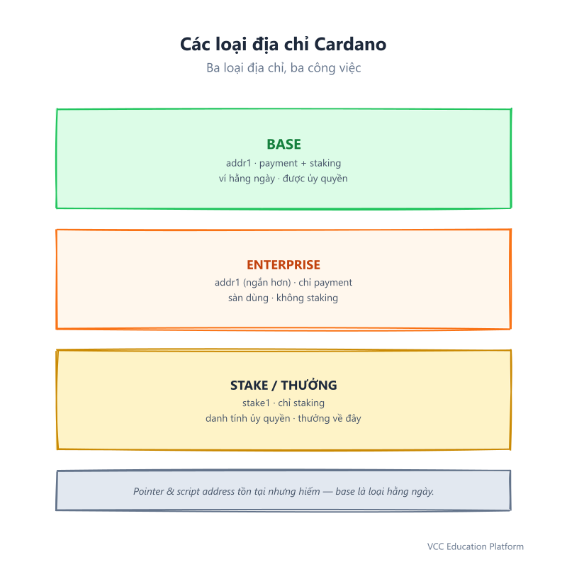 So sánh các loại địa chỉ Cardano: địa chỉ cơ sở mang thanh toán và staking, doanh nghiệp chỉ mang thanh toán, stake chỉ mang staking