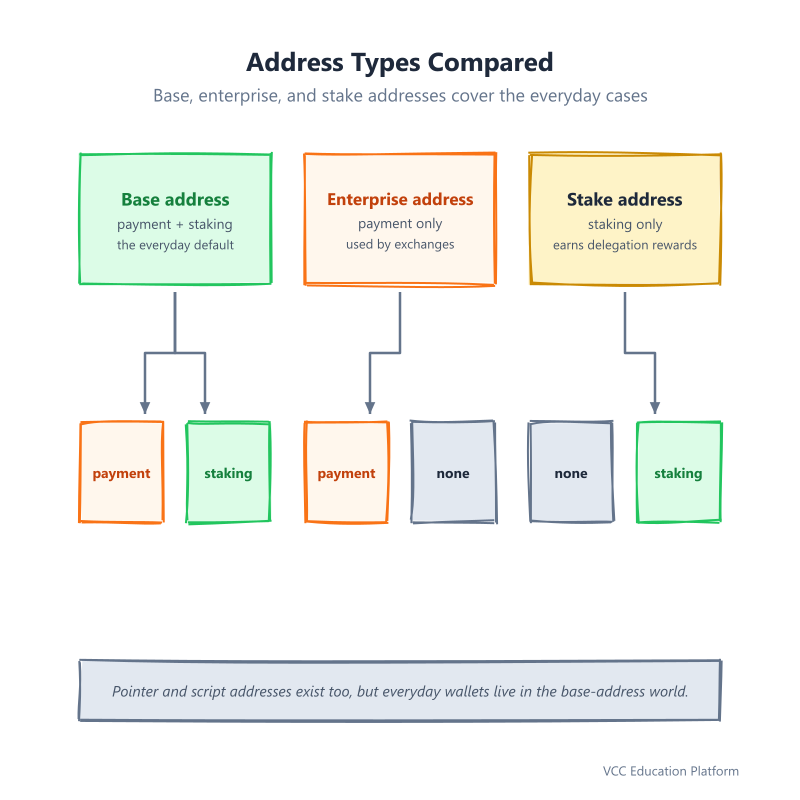 Cardano address types compared: base address carries payment and staking, enterprise carries payment only, stake address carries staking only