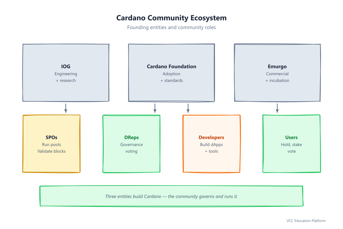 Diagram - Cardano community ecosystem: IOG, Cardano Foundation, Emurgo, SPOs, DReps, Developers, Use