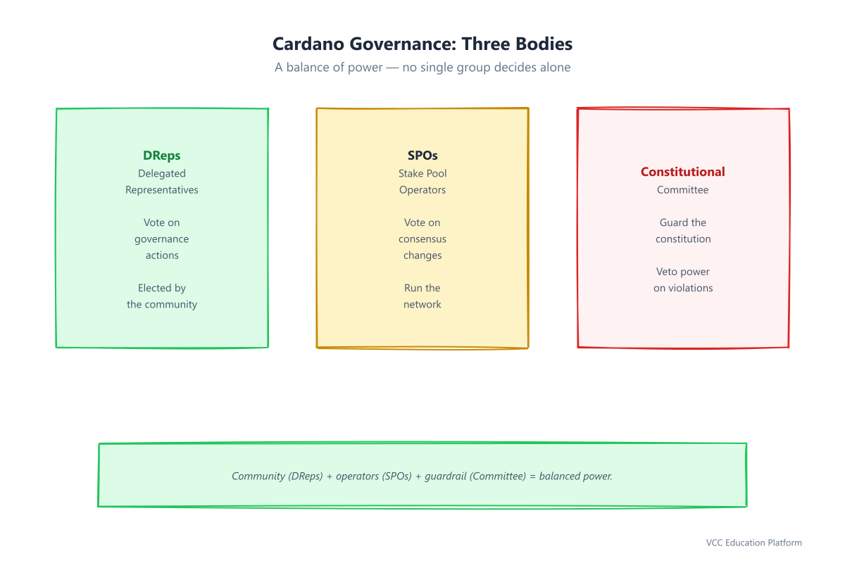 Diagram - Governance roles: DReps, SPOs, Constitutional Committee