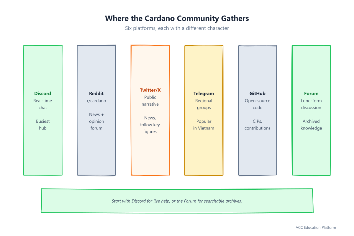 Diagram - Community platforms: Discord, Reddit, Twitter/X, Telegram, GitHub, Cardano Forum