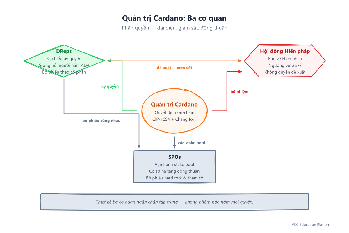 Diagram - Governance Overview: Three bodies (DReps, Constitutional Committee, SPOs) in radial layout showing relationships and voting flows