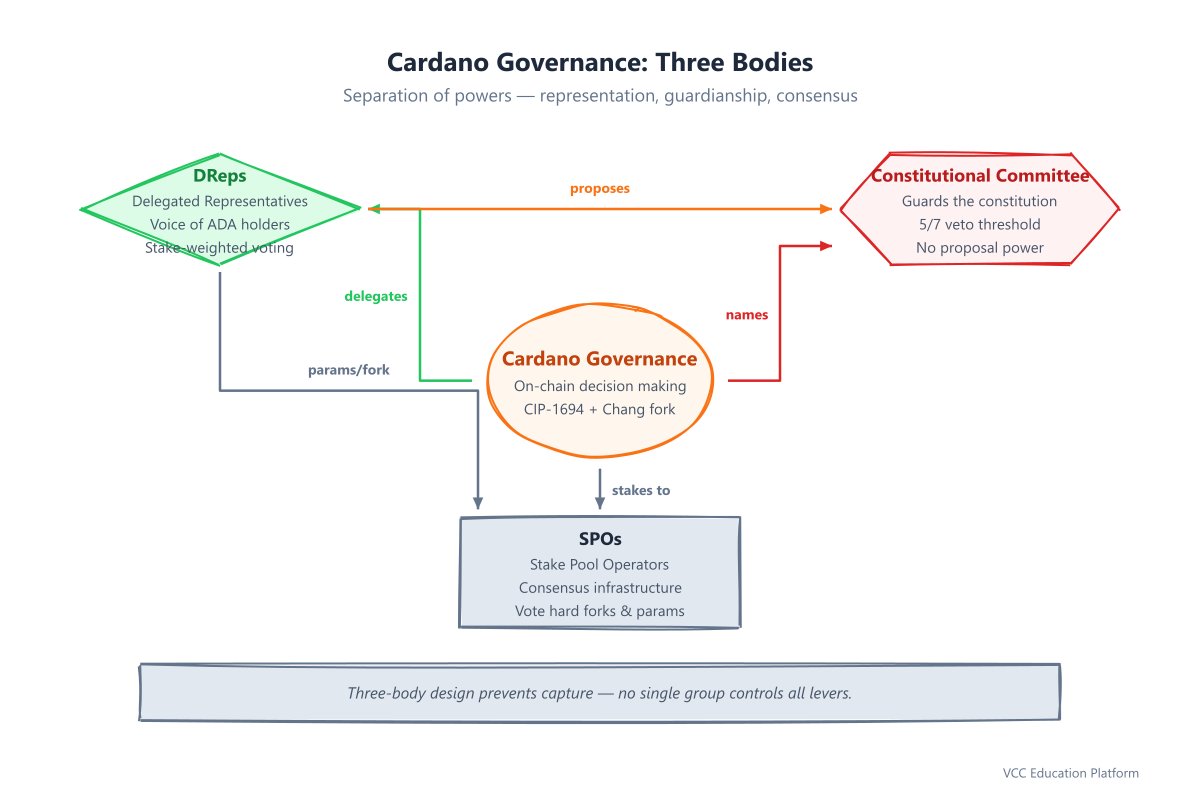 Diagram - Governance Overview: Three bodies (DReps, Constitutional Committee, SPOs) in radial layout showing relationships and voting flows