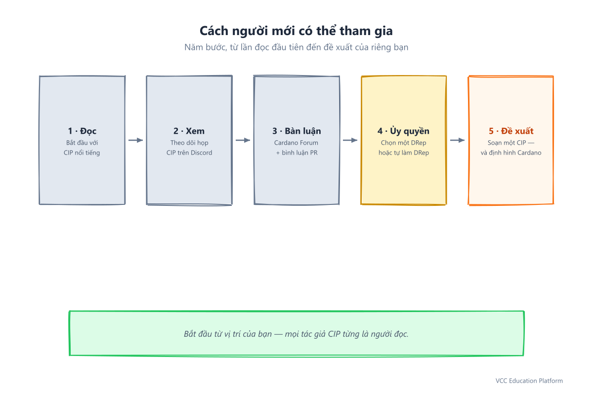 Lưu đồ lộ trình người mới bắt đầu: Đọc → Xem → Thảo luận → Ủy quyền → Đề xuất