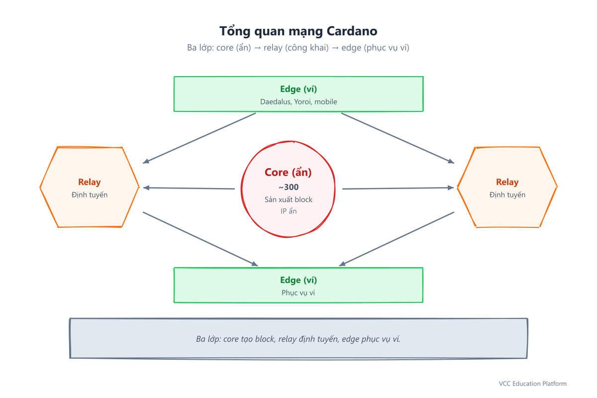 Tổng quan mạng Cardano: core (ẩn), relay (công khai), edge (phục vụ ví) với mũi tên luồng dữ liệu