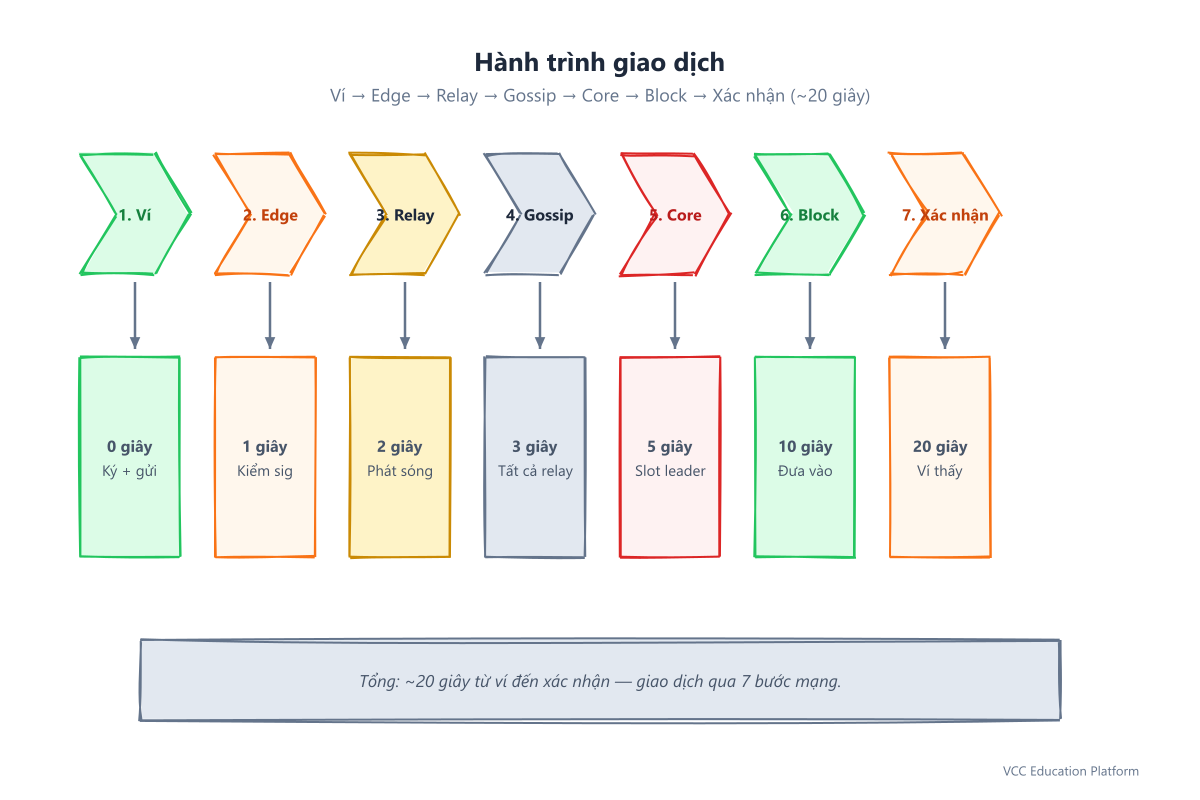 Hành trình giao dịch: 7 bước từ ví đến xác nhận, ~20 giây tổng