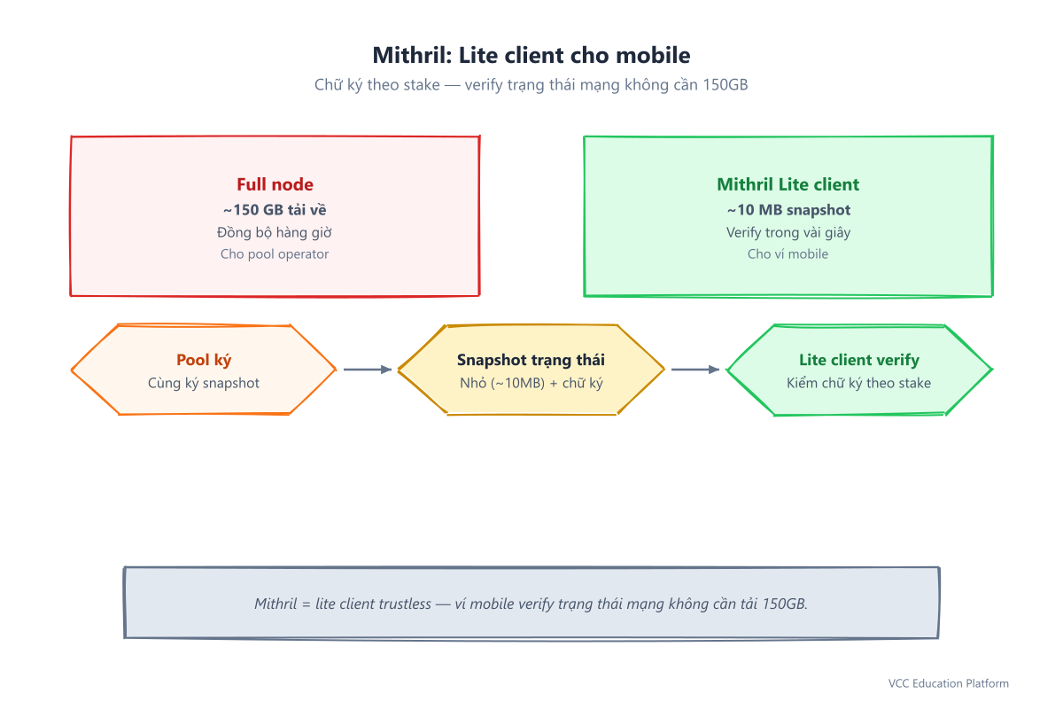 Mithril: pool ký snapshot, lite client verify không cần tải 150GB