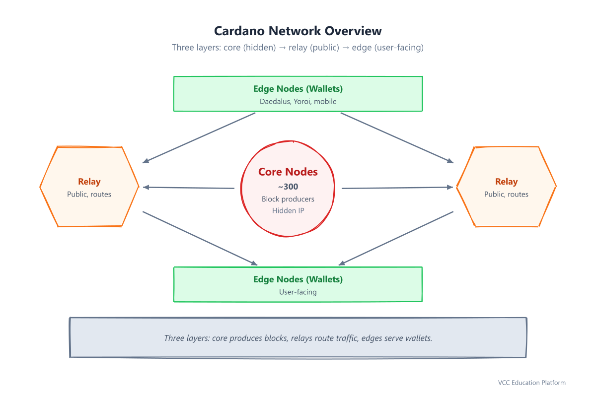 Cardano network overview: core (hidden), relay (public), edge (user-facing) with data flow arrows