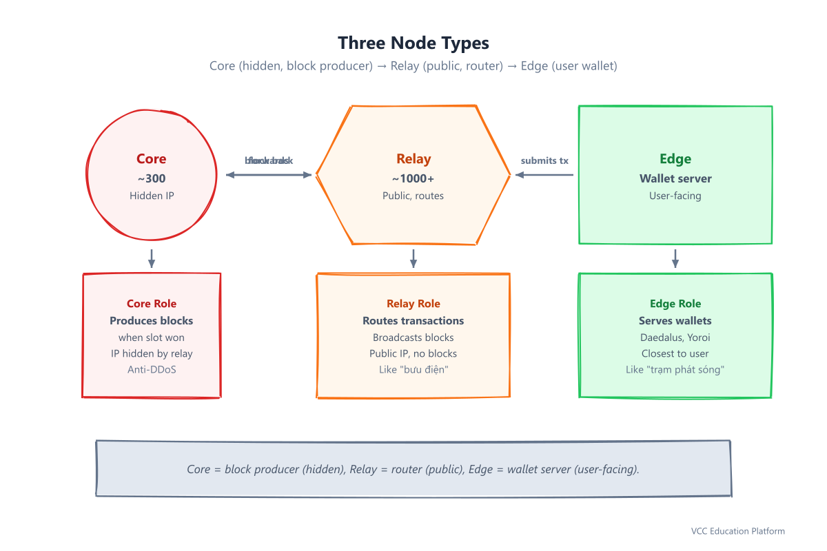 Three node types: Core (circle, hidden), Relay (hexagon, public), Edge (rounded, user-facing) with flow arrows