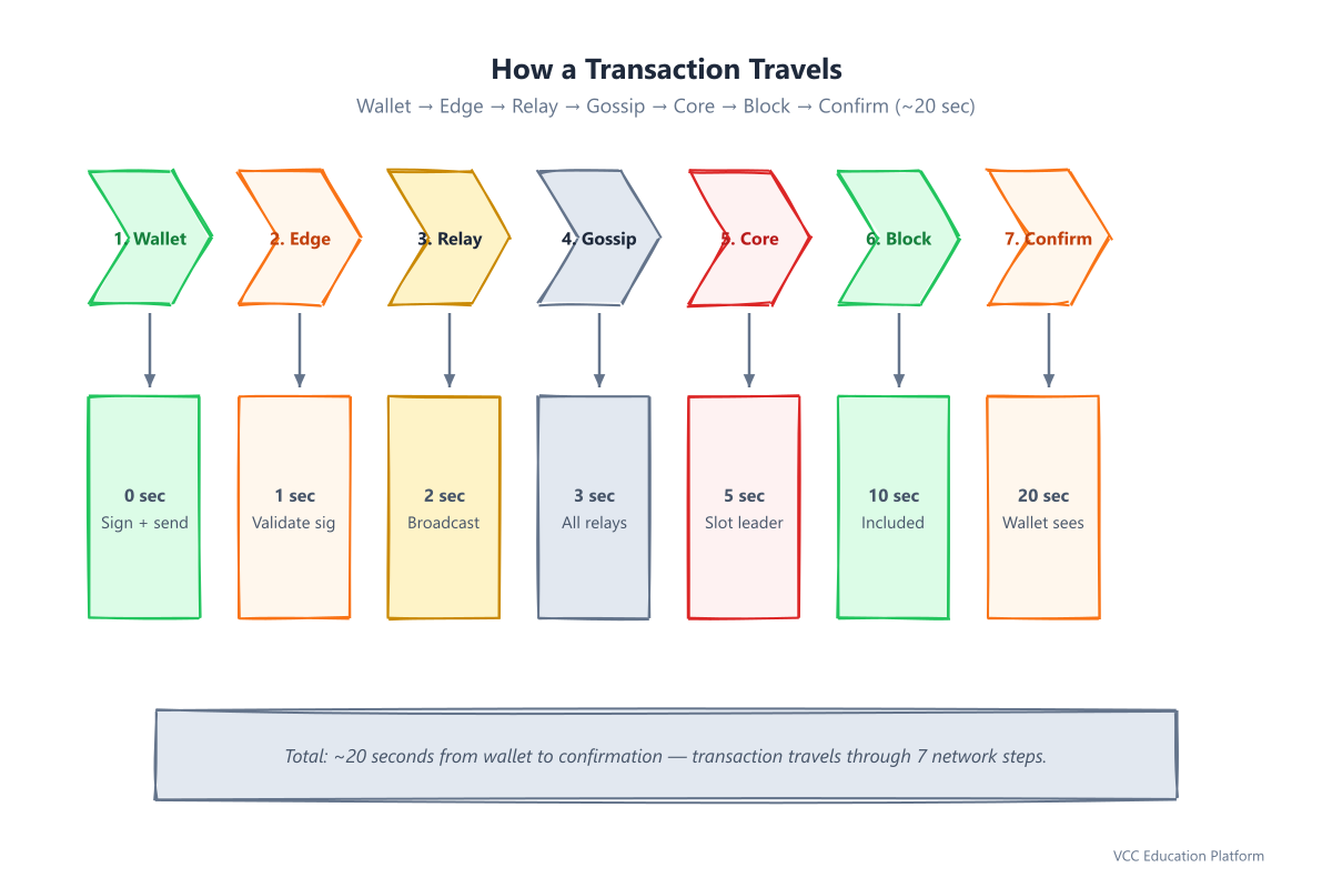 Transaction journey: 7 steps from wallet to confirmation, ~20 seconds total