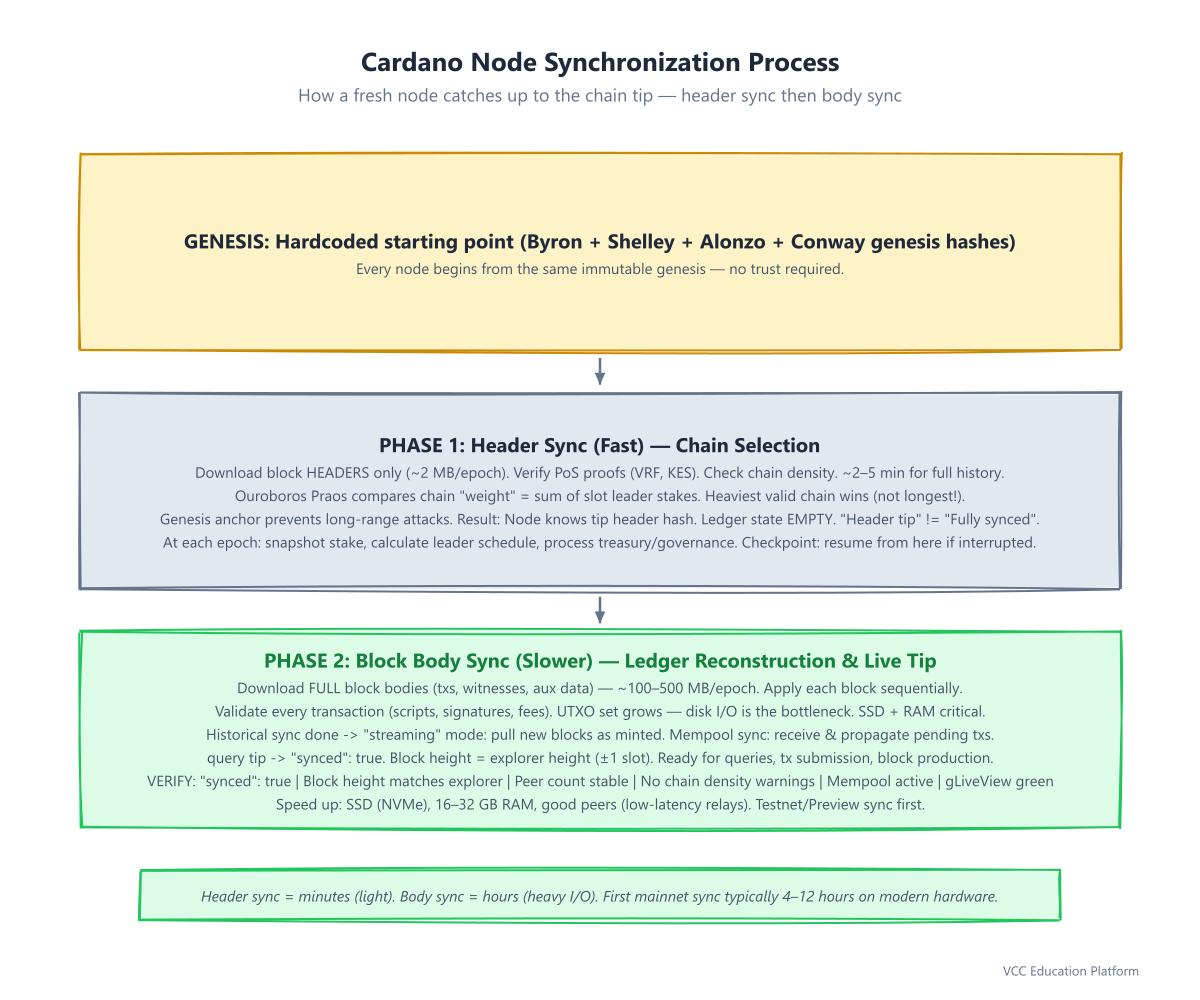 Diagram - Node synchronization process: timeline showing genesis → header sync (fast) → block body s