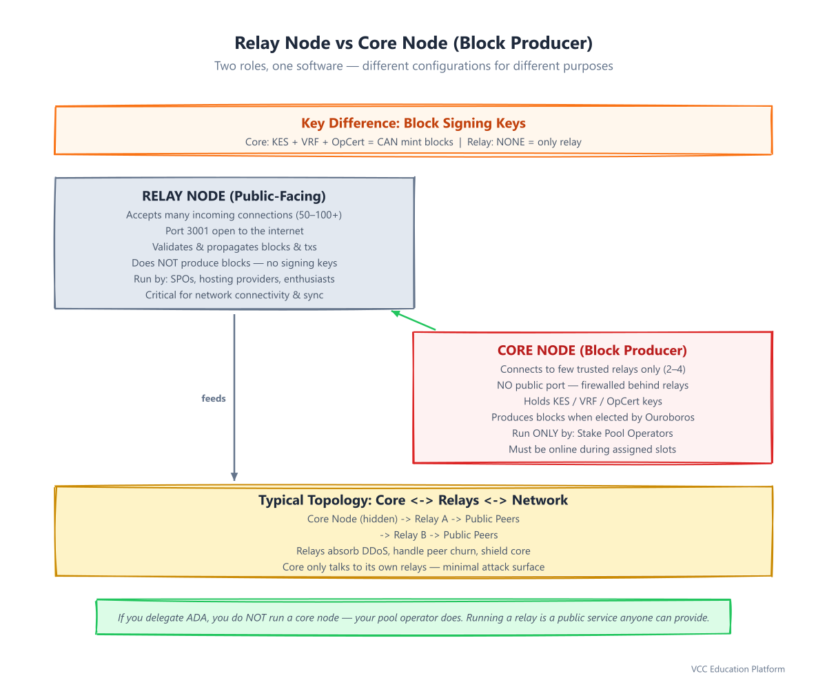 Comparison - Relay node vs Core node: two side-by-side panels showing relay (public-facing, many con