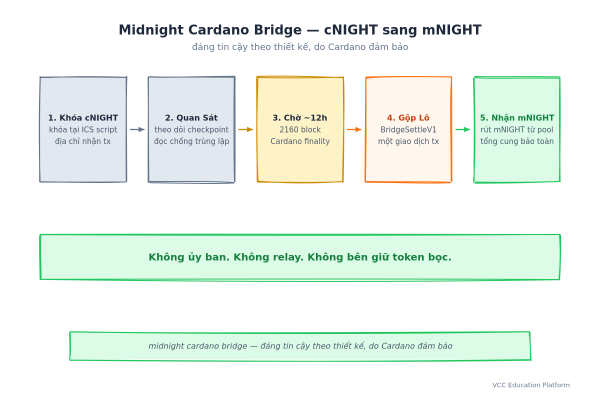 Luồng năm bước của midnight cardano bridge: khóa cNIGHT tại ICS validator trên Cardano với địa chỉ nhận trong metadata, quan sát qua checkpoint theo dõi idempotent, chờ khoảng 12 giờ cho Cardano finality ở 2160 block, gộp vào một giao dịch BridgeSettlementV1, và nhận mNIGHT bằng private key với cung lượng được bảo toàn