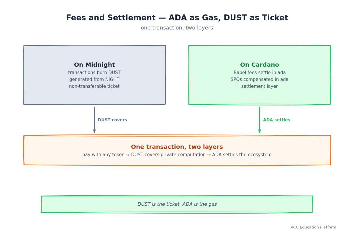 Fees and settlement: on Midnight transactions burn DUST generated from NIGHT as a non-transferable ticket, while on Cardano Babel fees settle in ada and SPOs are compensated in ada as the settlement layer — one transaction, two layers