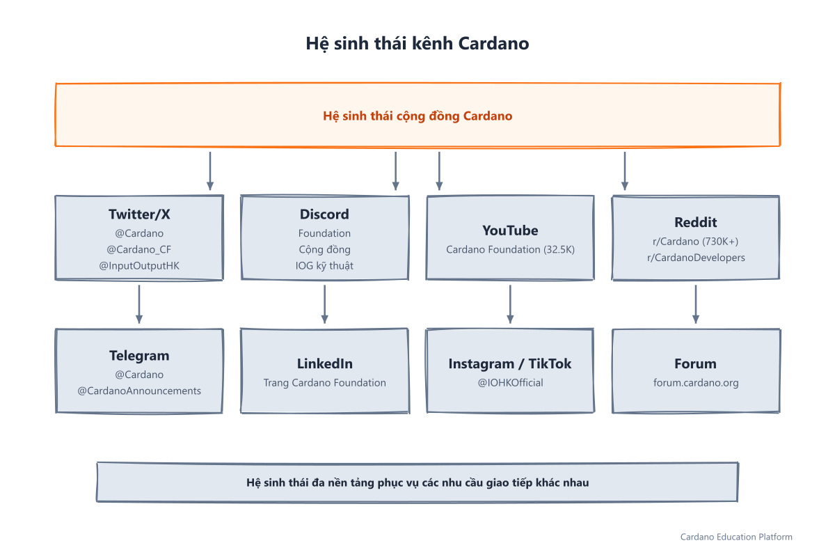 Hệ sinh thái kênh Cardano đầy đủ: Twitter, Discord, YouTube, Reddit, Telegram, LinkedIn, Instagram/TikTok và diễn đàn