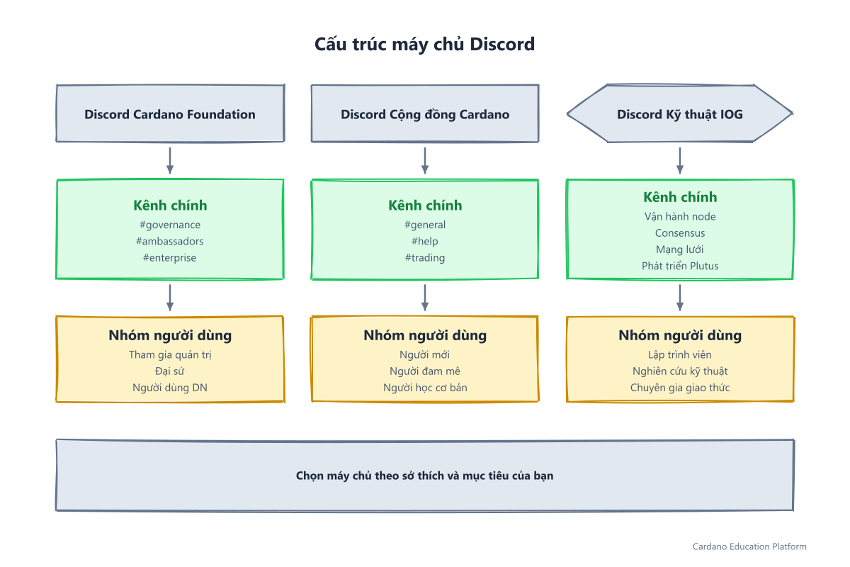 Cấu trúc máy chủ Discord: Discord Cardano Foundation, Discord Cộng đồng và Discord kỹ thuật IOG với kênh và nhóm người dùng