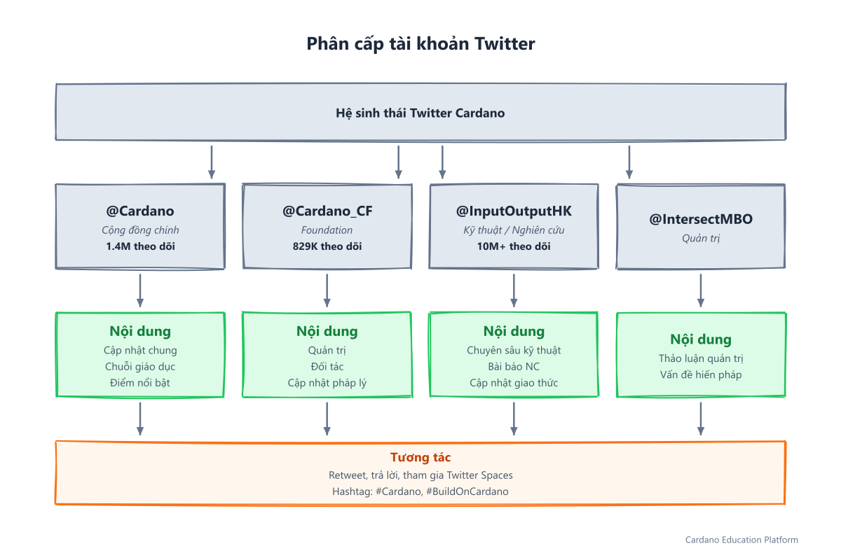 Phân cấp tài khoản Twitter: @Cardano, @Cardano_CF, @InputOutputHK, @IntersectMBO với nội dung và cách tương tác