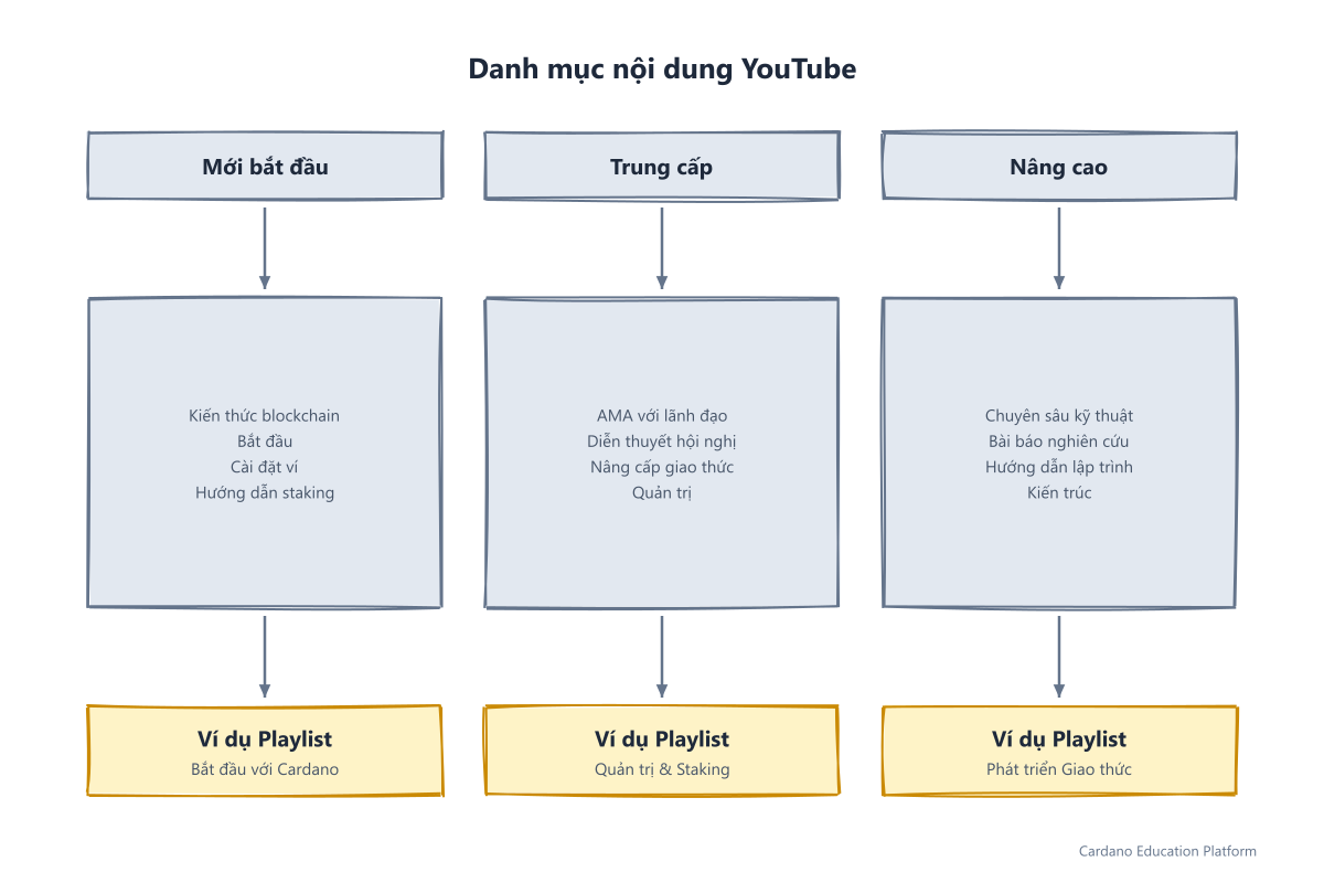 Danh mục nội dung YouTube: Mới bắt đầu, Trung cấp và Nâng cao với các ví dụ playlist