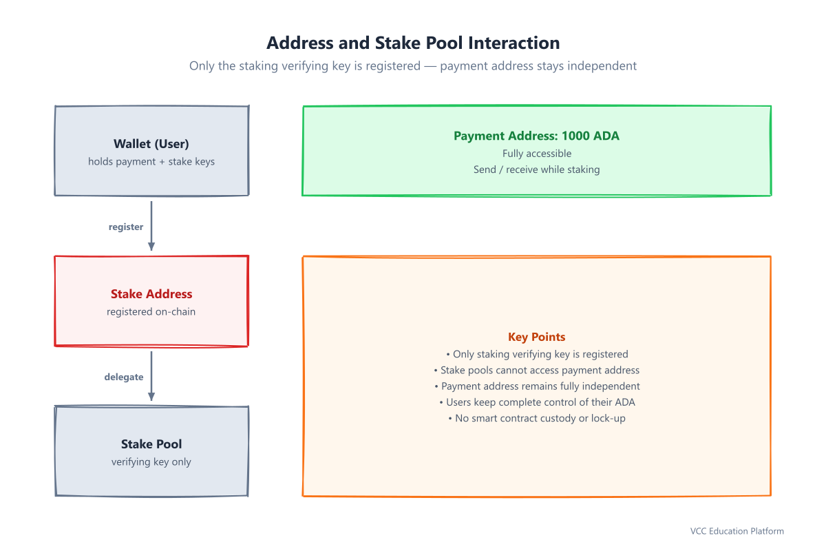 Address and stake pool interaction showing staking key registration and reference mechanism