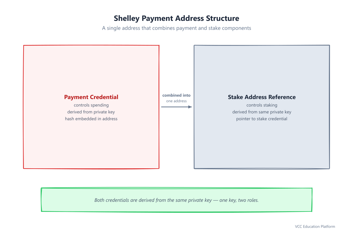Shelley payment address structure showing payment credential and stake address reference