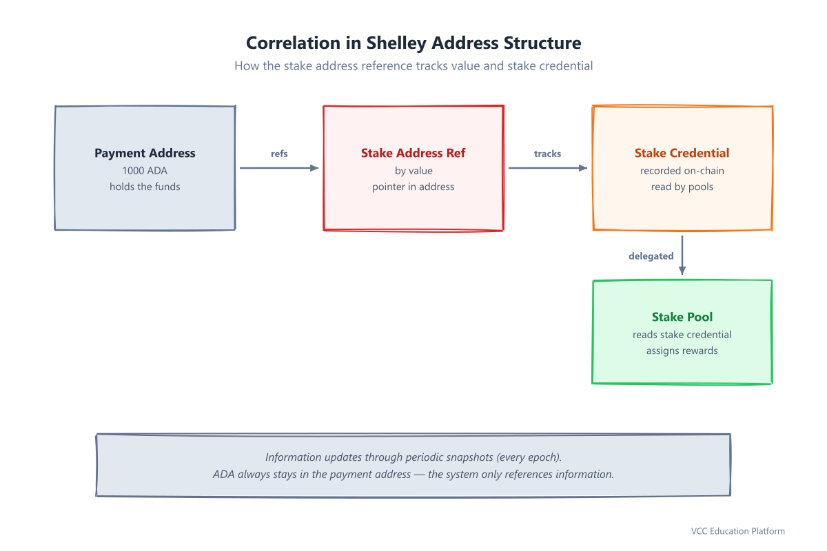 Correlation in Shelley address structure showing stake address reference, value, and stake credential