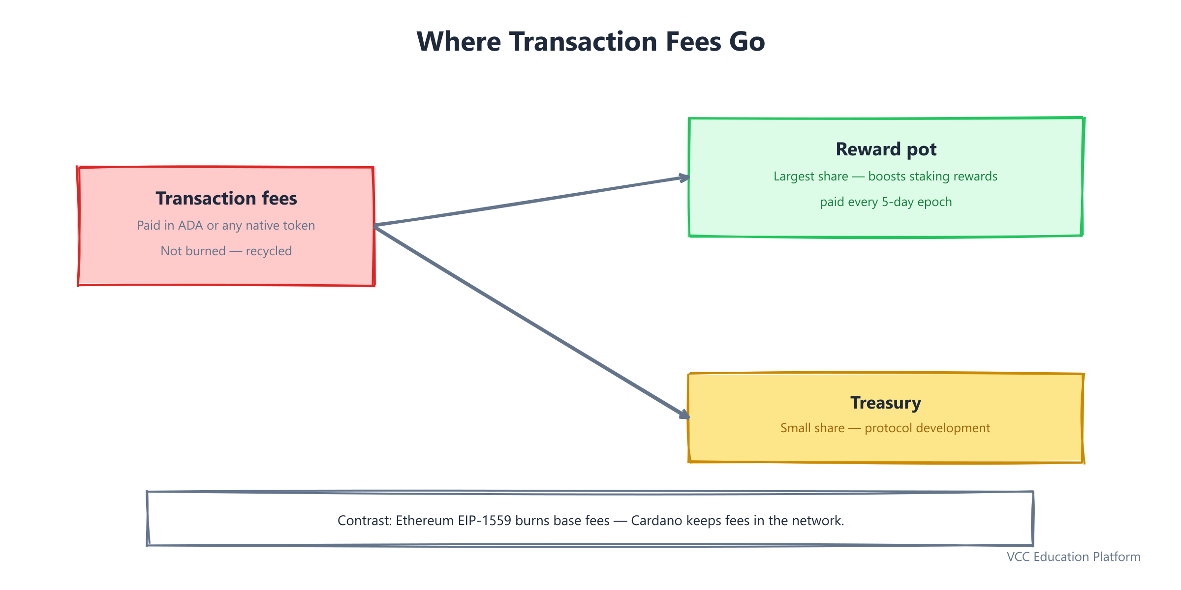 Where transaction fees go: reward pot 80% plus treasury 20%