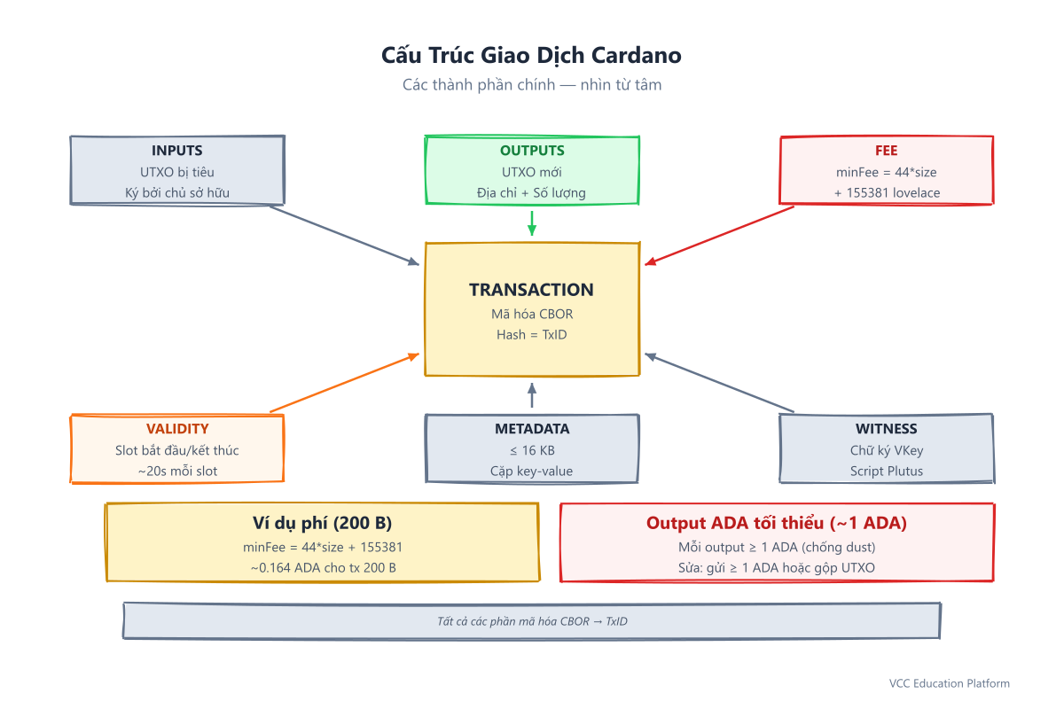 Cấu trúc giao dịch Cardano: inputs, outputs, fee, validity interval, metadata, witness set và auxiliary data