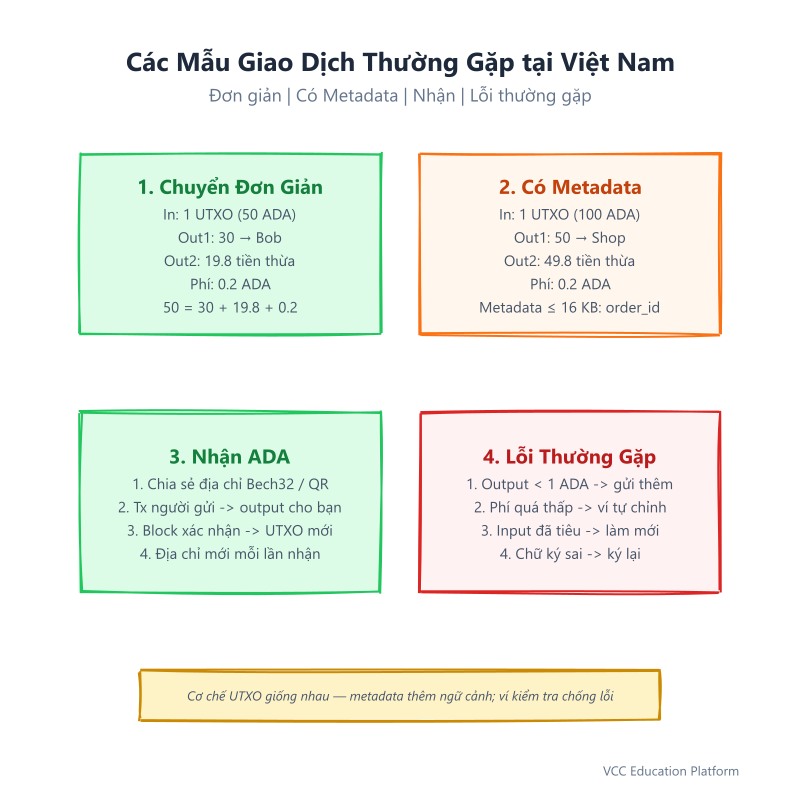 Các mẫu giao dịch Cardano thường gặp: chuyển đơn giản có tiền thừa, chuyển kèm metadata, nhận ADA và các lỗi thường gặp