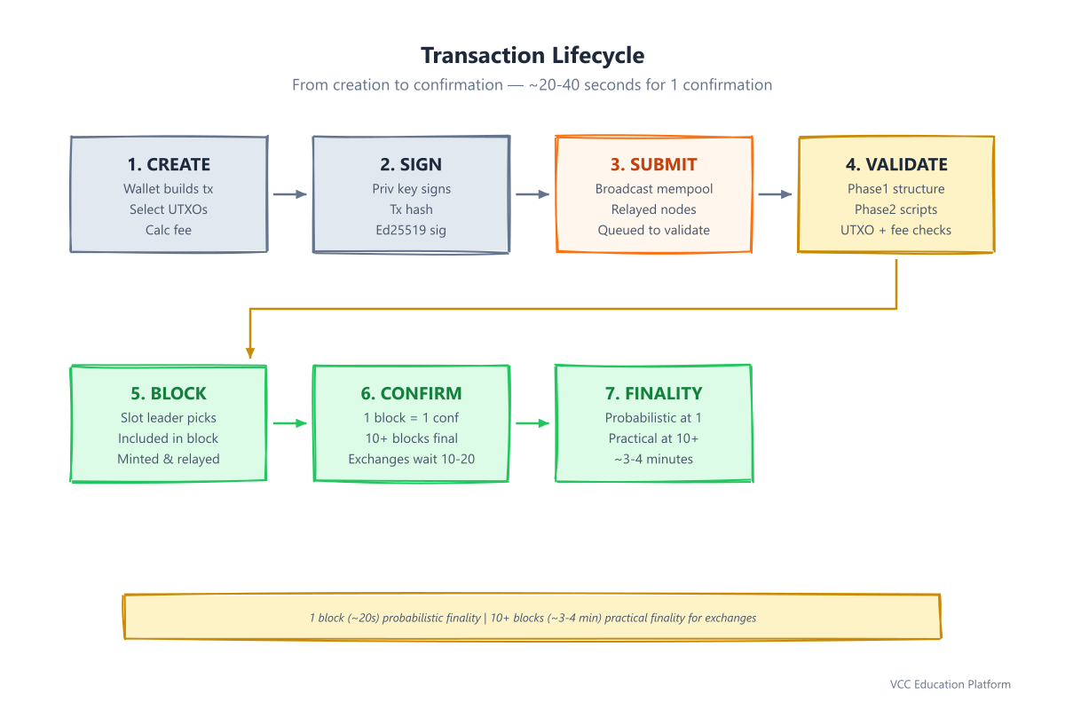 Transaction lifecycle: create, sign, submit to mempool, validate in two phases, include in a block, and confirm as blocks stack