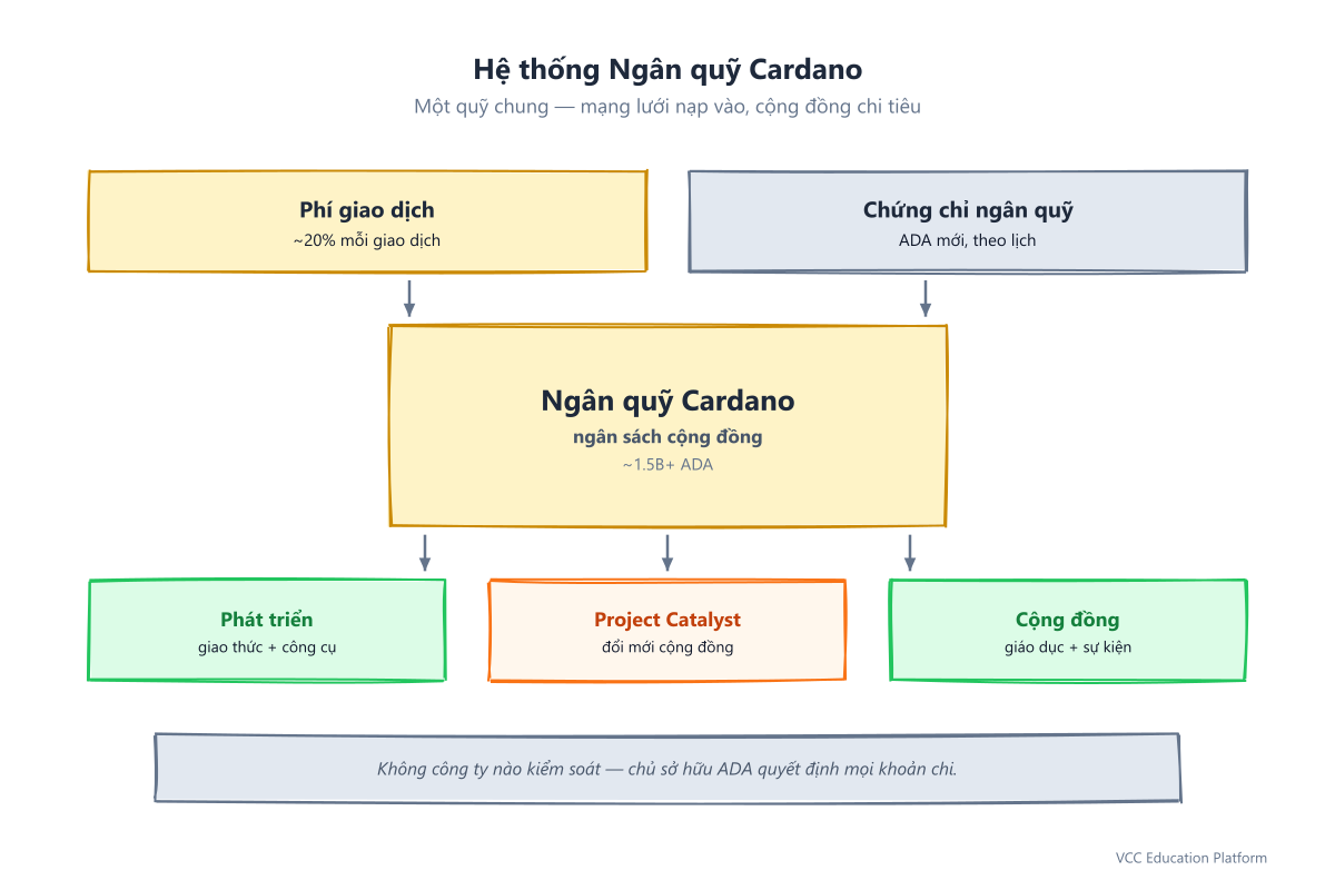 Tổng quan kho bạc Cardano: hai nguồn tiền vào (phí giao dịch, treasury certificates) và ba nguồn tiền ra (phát triển, Project Catalyst, sáng kiến cộng đồng)