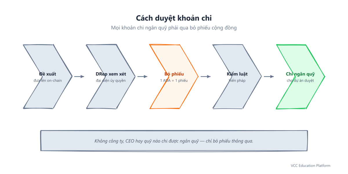Quy trình rút tiền kho bạc: nộp đề xuất, DRep xem xét, chủ ADA bỏ phiếu (1 ADA = 1 phiếu), Ủy ban Hiến pháp kiểm tra, giải ngân cho dự án được duyệt