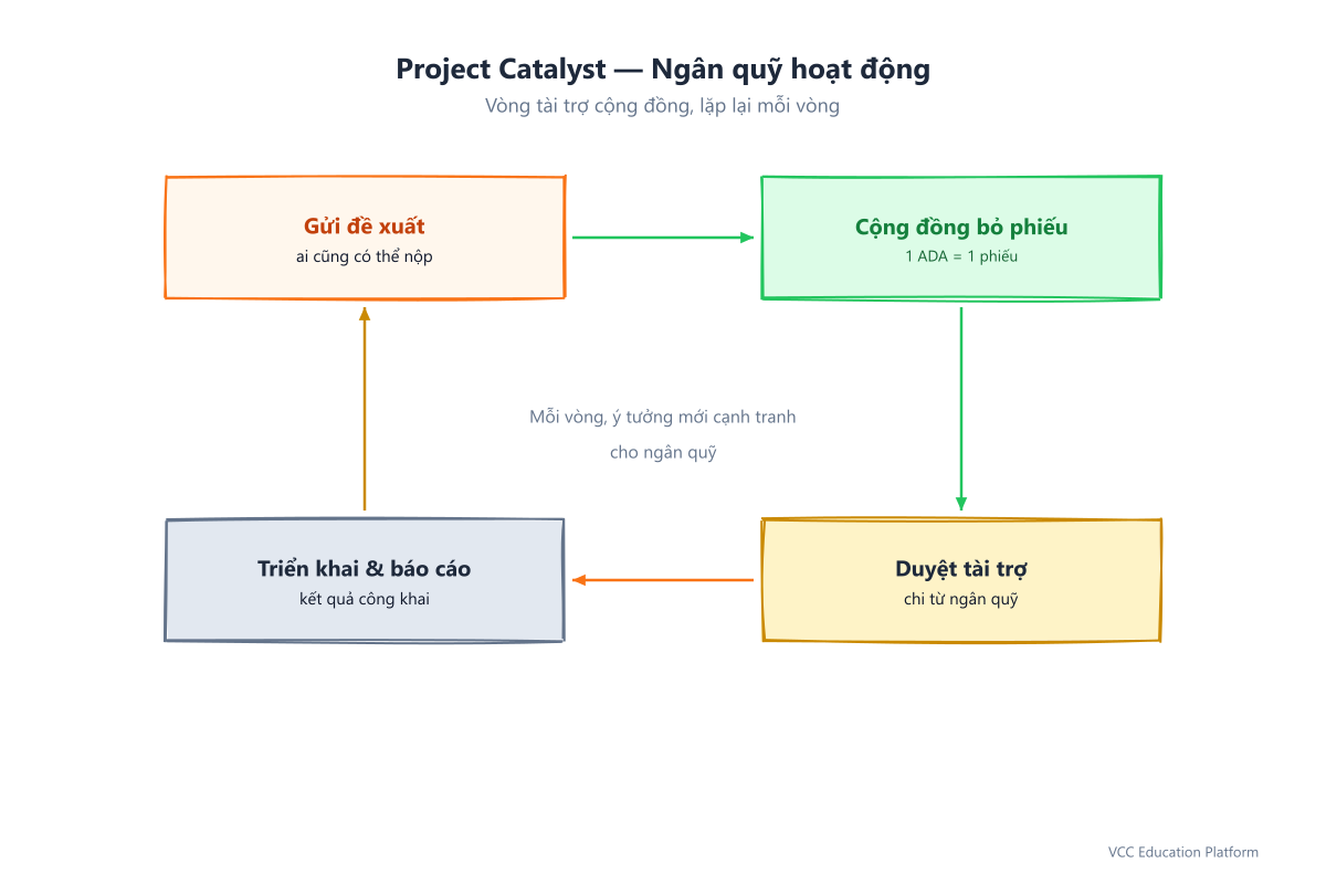 Vòng lặp Project Catalyst: nộp đề xuất, cộng đồng bỏ phiếu, các đề xuất hàng đầu được kho bạc tài trợ, xây dựng và báo cáo kết quả, quay lại vòng sau
