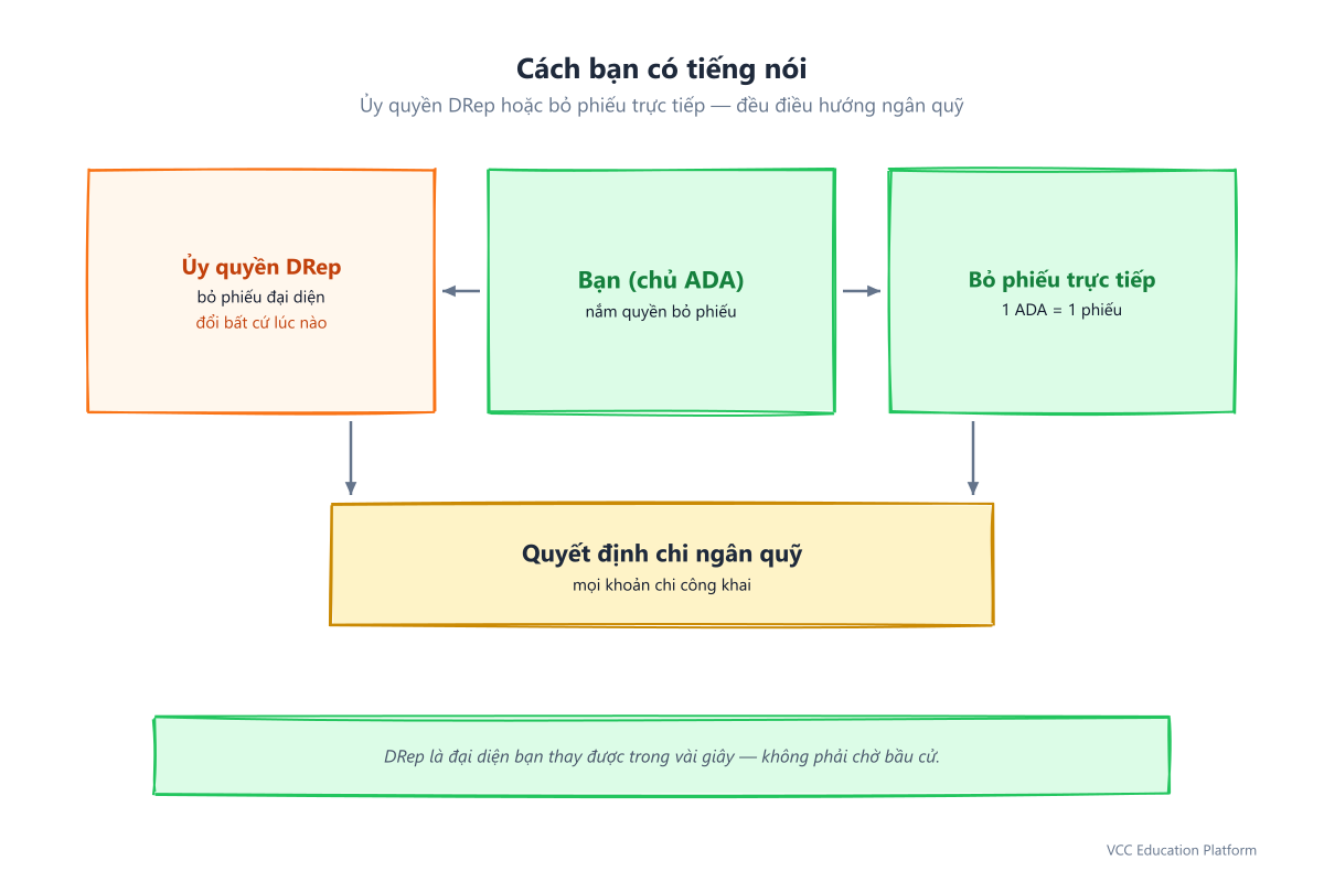 Tham gia: chủ ADA có thể ủy quyền cho DRep (bỏ phiếu ủy quyền, đổi bất cứ lúc nào) hoặc bỏ phiếu trực tiếp (1 ADA = 1 phiếu)