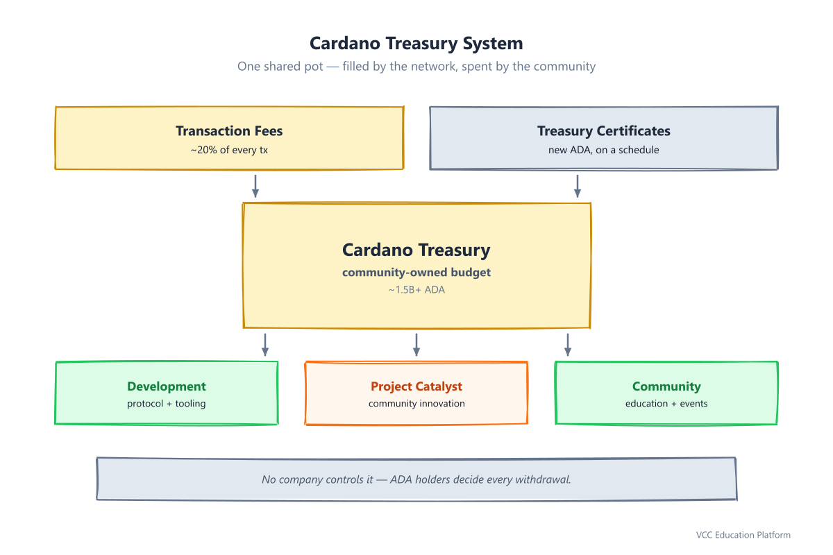 Cardano treasury overview: two inflows (transaction fees, treasury certificates) and three outflows (development, Project Catalyst, community initiatives)