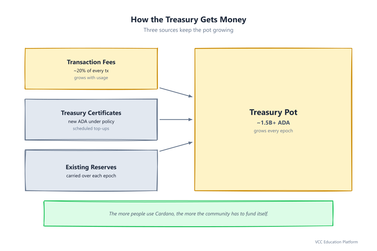 Treasury funding: transaction fees (~20%), treasury certificates, and existing reserves flow into a treasury pot of ~1.5B+ ADA